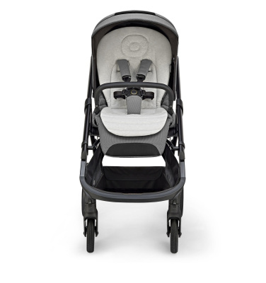 Коляска прогулочная Inglesina Aptica XT 2025, Canyon Grey AG70S0CNG