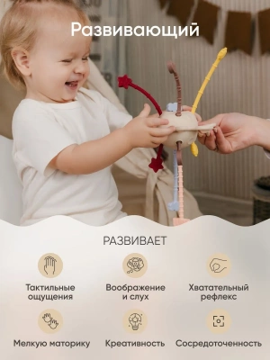 PT-001 Прорезыватель-погремушка Paomma Солнце Multicolor 