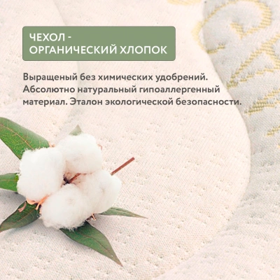 Матрас Plitex Organic Spring 120*60