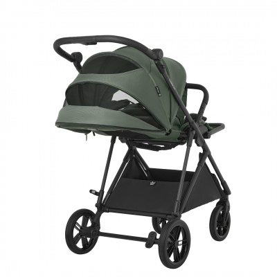 Коляска прогулочная Pituso Carbon RX Taiga Green/рама carbon
