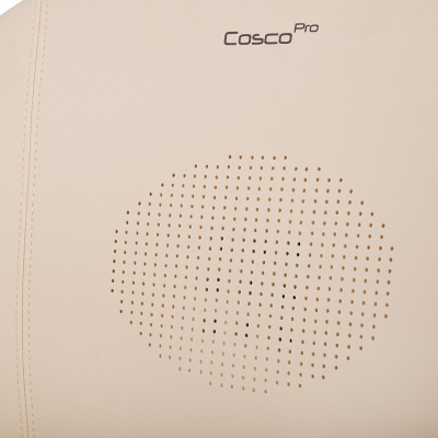 Бустер автокресло Pituso COSCO PRO (i-Size) Beige/Бежевый leather/кожа F001-Pro-beige