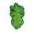 Oli&Carol KENDALL THE KALE, прорезыватель для зубов