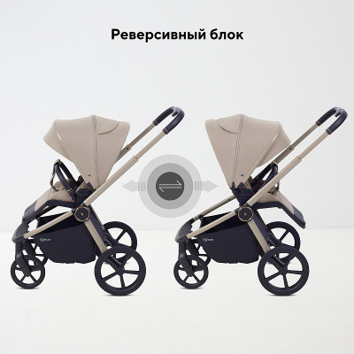 Коляска прогулочная Rant Flex Color RA118 Sandy Beige
