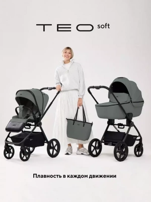 Коляска 2 в 1 RANT Teo Soft Olive