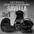 Коляска 3 в 1 BubaGO Savella 199-1 чёрный