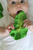 Oli&Carol KENDALL THE KALE, прорезыватель для зубов