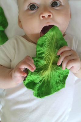 Oli&Carol KENDALL THE KALE, прорезыватель для зубов