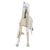 Стульчик для кормления Chicco Polly Armonia Greenery Стульчик для кормления Chicco Polly Armonia Greenery